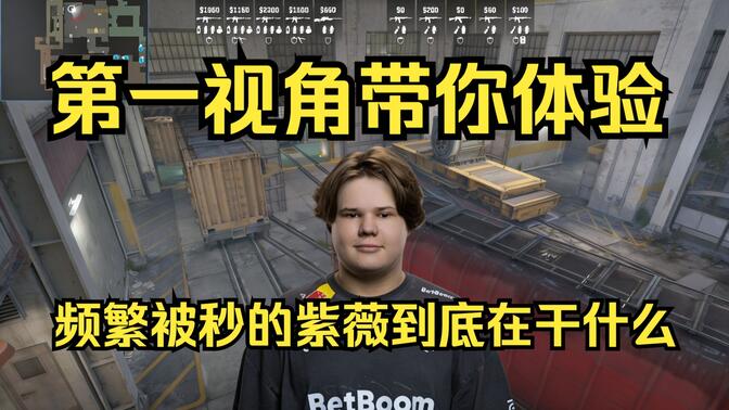 本微